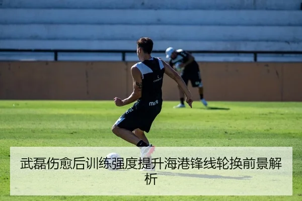 武磊伤愈后训练强度提升海港锋线轮换前景解析